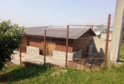 Troco Casa por Granja com Aviário em Funcionamento - São Leopoldo/RS