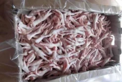 Fornecedor de Pés de Frango (Chicken Feet) para Exportação na Ásia