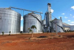 Soluções Completas para Armazenagem de Grãos – Silos, Obras Civis e Instalações Elétricas
