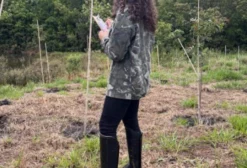 Consultoria e Assessoria Técnica Ambiental em Itapetininga/SP