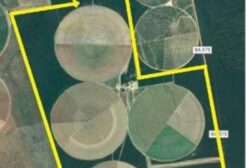 Arrendamento de Fazenda com 4 Pivôs Centrais – 410 Hectares Irrigados em São Félix do Coribe/BA