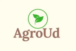 Caroço de Algodão para Nutrição Animal – Venda Direta em Patos de Minas MG
