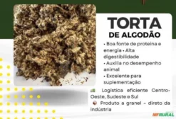 Torta de Algodão de Alta Qualidade para Nutrição Animal - Bovinos de Corte e Leite
