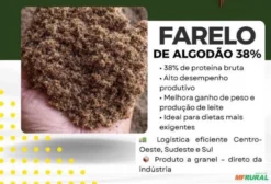 Farelo de Algodão 38% Proteína – Ideal para Ração e Suplementação Animal