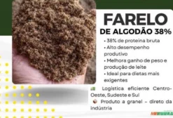 Farelo de Algodão 28% de Proteína para Nutrição Animal e Confinamento