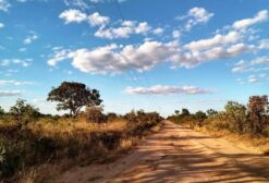 Fazenda de 503 hectares para venda ou arrendamento em Jaborandi - BA