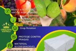 Saquinhos Protetores para Ensacar Frutas – Lote com 1000 Unidades