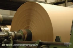 Bobina de Papel Semi Kraft para Cama de Aviário - Virgem e Resistente