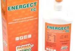 Energect FC – Complemento Nutricional Injetável para Ativação Metabólica e Ganho de Peso em Bovinos