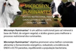 Aditivo Mineral Micromyn para Controle de Parasitas e Ganho de Peso - 700g