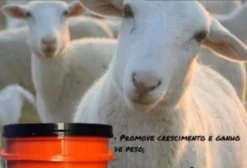 MasterPhós Ovinos e Caprinos - Suplemento Mineral com Monensina Sódica (5 kg)
