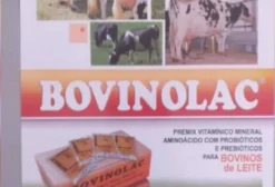 Bovinolac – Suplemento Mineral para Gado Leiteiro em Arapongas PR
