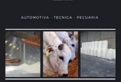 Uréia Pecuária 25kg – Suplemento Alimentar para Bovinos e Ruminantes