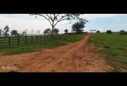 Fazenda Boa Vista – 156 hectares para pecuária em Rio Branco, AC