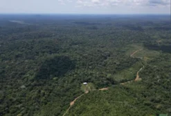 Fazendas Cristo Rei II e III – 5.025,94 ha em Presidente Figueiredo/AM com Projeto de Créditos de Carbono