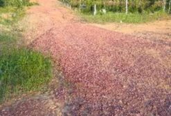 Chácara com Cachoeiras e Infraestrutura Completa em Presidente Figueiredo/AM