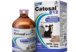 Catosal B12 100mL – Solução Injetável com Butafosfana e Vitamina B12 para Bovinos, Equinos, Ovinos, Caprinos, Suínos