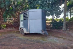 Trailler para Transporte de 2 Equinos – Semi Novo – 2022 – Jaú/SP