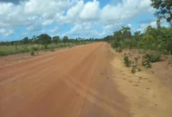 Fazenda de 460 ha com Dupla Aptidão em Macapá – AP