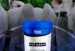 Vit A D E Núcleo Vitamínico Completo para Animais - Balde 10kg