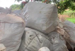 Big Bag Selecionado para Adubo e Insumos - São Sebastião da Amoreira PR