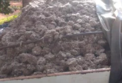 Briquete de Algodão para Nutrição Animal – Volumoso de Alta Proteína para Gado
