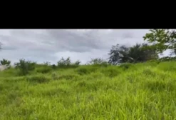 Fazenda de Dupla Aptidão com 400 Alqueires em Brasília/DF