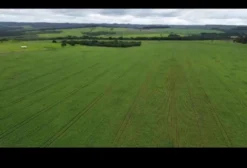 Fazenda Produtiva de 300 Hectares com Dupla Aptidão em Brasília/DF