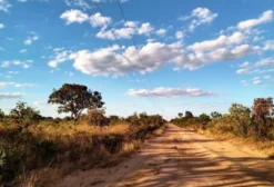 Fazenda 503 Hectares à Venda ou Arrendamento em Jaborandi, BA