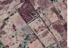 Terreno Plano de 100.000 m² para Usina Solar – Jaguaruana/CE – Aluguel