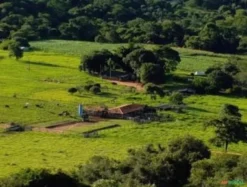 Fazenda em Brazlândia – Ótima Oportunidade de Investimento Rural