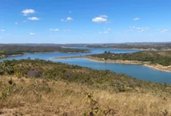 Arrendamento de Fazenda em Catalão/GO – 700 hectares para Pecuária e Agricultura