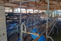 Galpões Compost Barn para Locação – Estrutura Completa para 200 Vacas em Lactação em Hidrolândia-GO