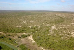 Arrendamento de Terreno Rural de 552 Hectares em Pompéu - MG