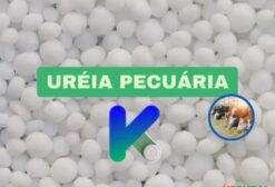 Ureia Pecuária de Alta Pureza para Ruminantes – Katyon (Salto/SP)