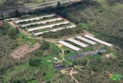 Fazenda Granja de Aves e Suínos à Venda em Brasília/DF – Alta Capacidade Produtiva