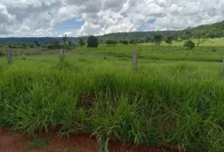 Fazenda à Venda em Juruena, MT – 204 Alqueires com Ótima Oportunidade