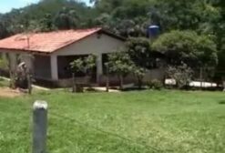 Chácara com Pastagem e Recursos Hídricos em Pirenópolis – GO