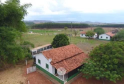 Planta Frigorífica Operacional para Arrendamento em Caiapônia - GO