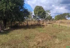 Fazenda de 20 Alqueires com Dupla Aptidão em Niquelândia – GO