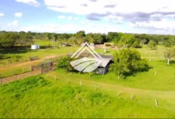 Fazenda para Pecuária de 967 ha com Infraestrutura Completa em Lajeado Novo - MA