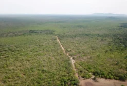 Fazenda de 20.000 Hectares em Cocalinho – Mato Grosso