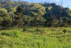 Fazenda para Pecuária com 297 ha em São Félix do Xingu - PA