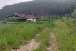 Arrendamento de Fazenda para Pecuária – 320 Alqueires em Paraibuna/SP