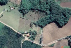 Área Rural para Arrendamento - Desenvolvimento de Piscicultura e Ranicultura em Imbaú/PR