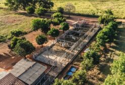 Frigorífico em Operação à Venda em Porteirinha-MG | Capacidade 50 Bovinos/dia e 30 Suínos/dia