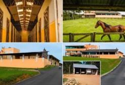 Haras de Alto Padrão em Tijucas do Sul – 52 Hectares com 29 Cocheiras e Casa Sede de 1.000 m²