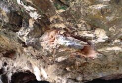 Jazida de Nióbio com Direitos Minerários em Araxá - MG