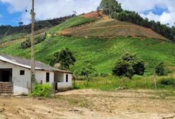 Fazenda com Café Arábica e Muita Água em Domingos Martins - ES