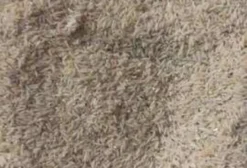 Resíduo de Arroz para Ração Animal - Saca de 40kg